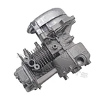 CRANKCASE AND PISTON KIT